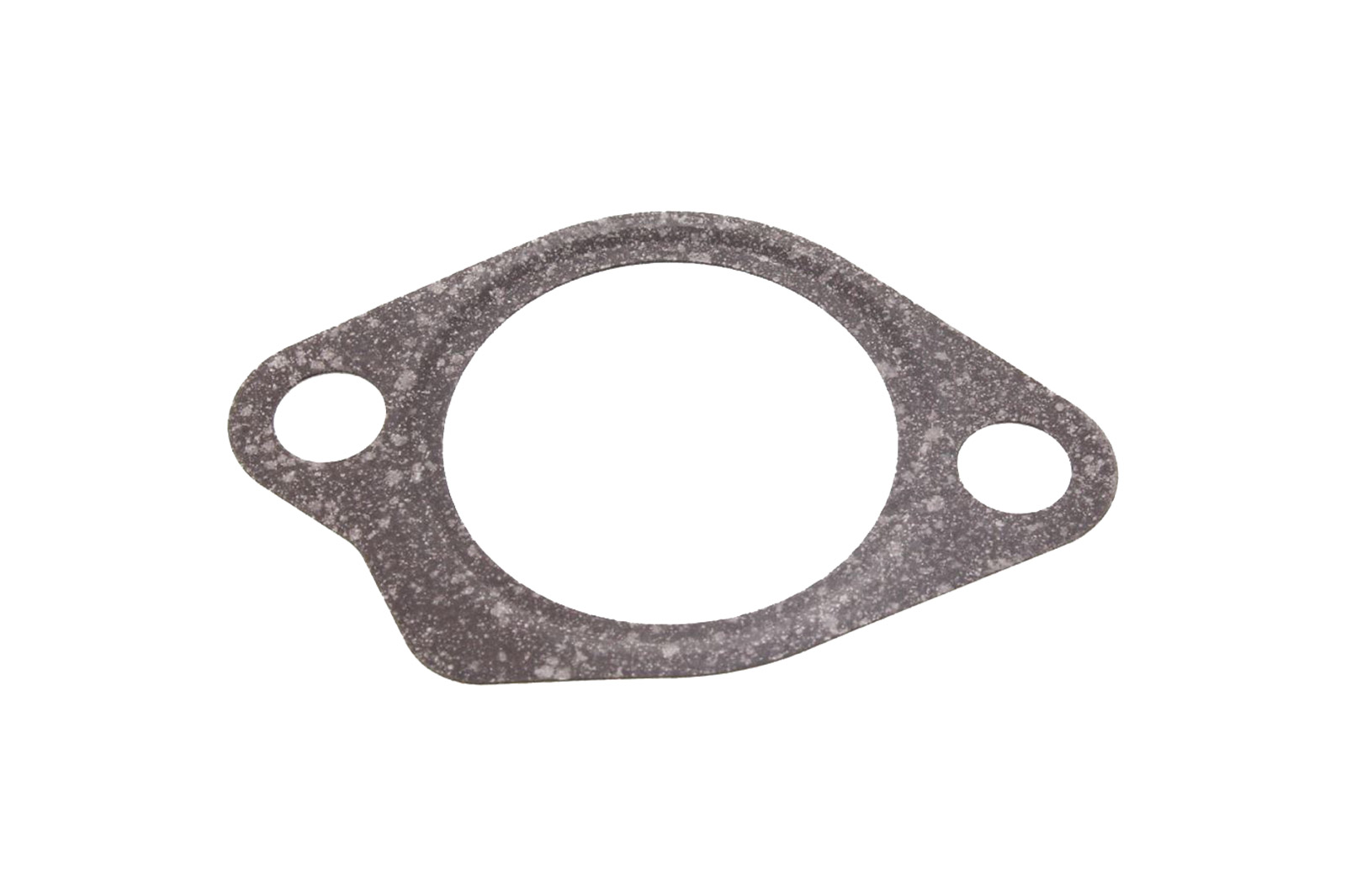 Dichtung Steuerketten Spanner Yamaha Tenere 700