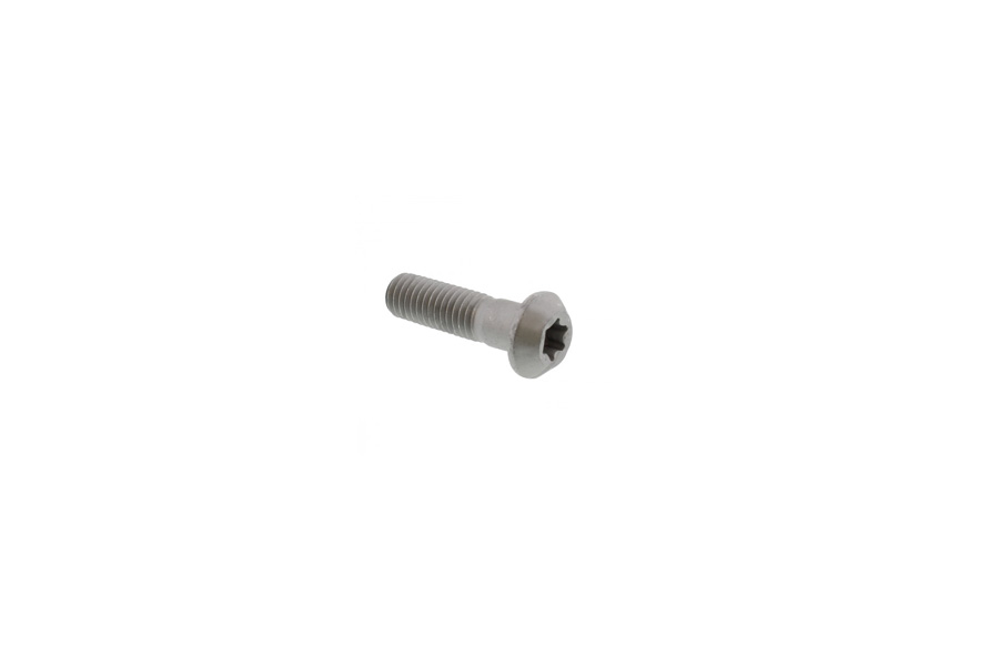 Bremsscheibenschraube hinten, Yamaha XT-1200Z Super Tenere